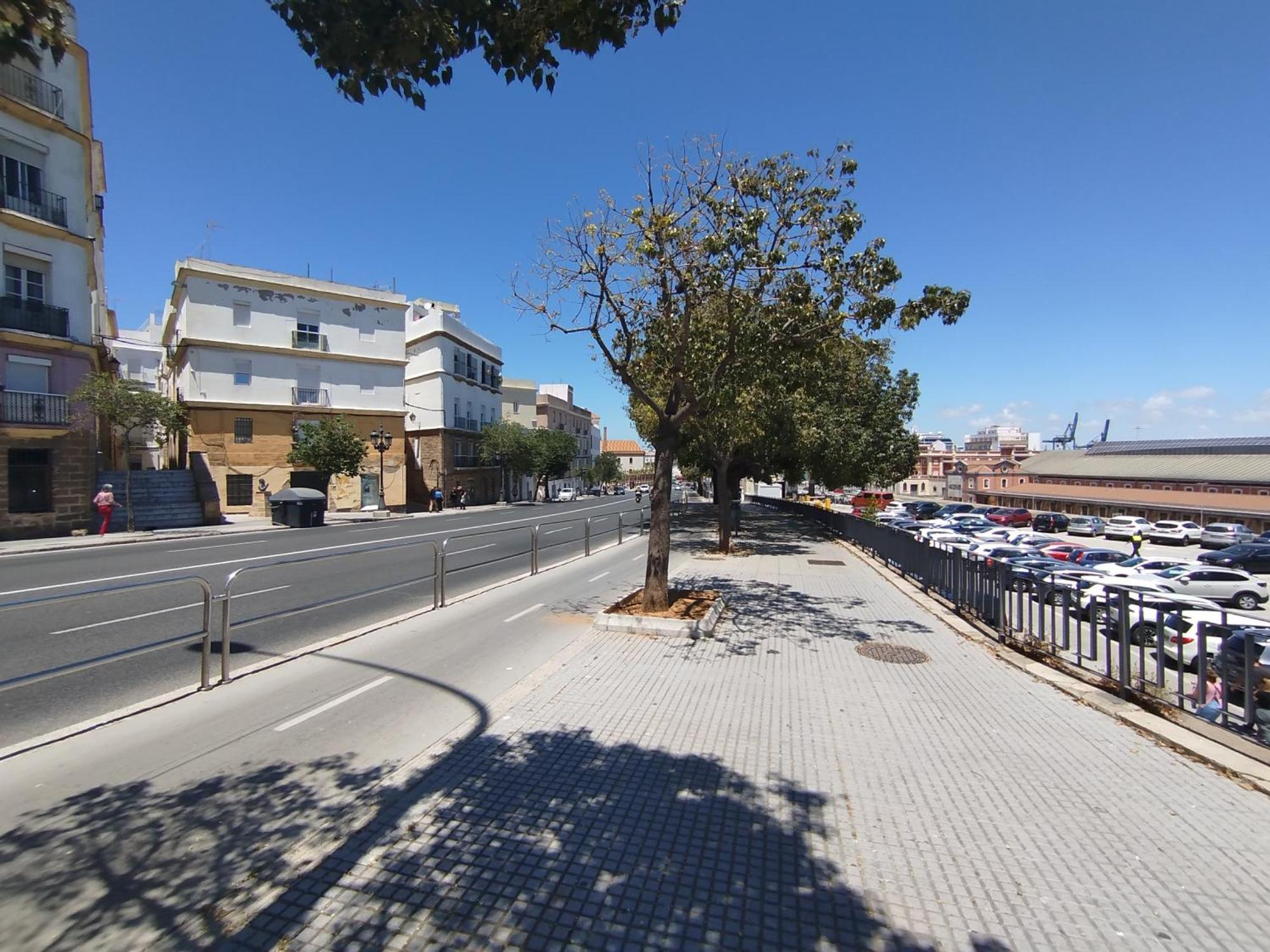 Cadiz Centro Goleta Loft By C.Dreams Apartman Kültér fotó